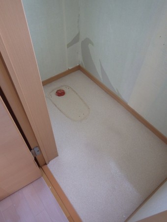 IMGP4947-e1635314114522